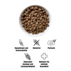 Eat Small EatSmall 2x10kg Active Trockenfutter -Ruffwear Verkäufe 2024 8eb87ed00fa368d8fa9581d309958c1852cc797b 1472610 de DE 3afc6319dab2229d23c78f66619a85133d5150ff96lIxh