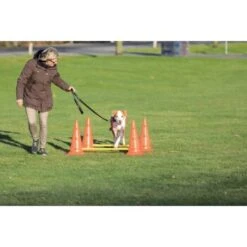 Trixie Dog Activity Hindernisse Ø30x50cm -Ruffwear Verkäufe 2024 91cbc45b90b8a0cfe868659f3dcf31f8aff28e6a 1287033 de DE Trixie Hindernisse wb 2