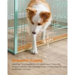 FEANDREA Welpenauslauf 4-teilig Schwarz Mintgrün -Ruffwear Verkäufe 2024 9309392d7cb4389d83a39fc6dbb20378aeb31adf 1500915 de DE d17e1153ac97c90e9e57d018e3e78bdade2a7f61y3I5DK