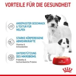 ROYAL CANIN Starter Mousse 12x195g -Ruffwear Verkäufe 2024 9355c112198d1d7f6f1735a4ed04081f03514a9a 9003579010532 5