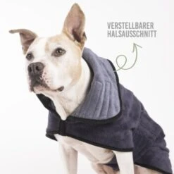 KaraLuna Bademantel Für Hunde XS 10 KaraLuna Bademantel Für Hunde XS -Ruffwear Verkäufe 2024 9361fc7afff972d50d51367a1a280b0bb189b529 1678940 de DE 42e9b5f72b7023449641a1e9c69c089f18b66176087Eny
