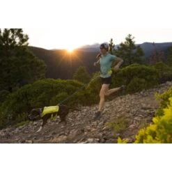Ruffwear Trail Runner™ Laufgurt Limonen Gelb L-XL -Ruffwear Verkäufe 2024 93a58c4fc27710218901d94aece28188b07bd319 1651444 de DE 8247d7fe22d77de2e7ea731c778011a0fe985828KUUc7c