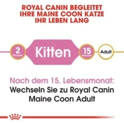 ROYAL CANIN Maine Coon Kitten 4 Kg -Ruffwear Verkäufe 2024 9494efda15798aa930f4c836c086824869519e76 d153c89f98a812830b790602e2c1dd84504c30b9