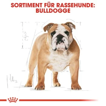 ROYAL CANIN Bulldog Adult 3 Kg 6 ROYAL CANIN Bulldog Adult 3 Kg – Bild 6