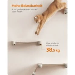 FEANDREA Clickat Katzen-Hängematte -Ruffwear Verkäufe 2026 95e79a6adc42de3a6fd7169ad86a15250475460e 1681421 de DE 2162716de0a1552ee6b9cb18bfa03d352c2b2eebcOFmp1