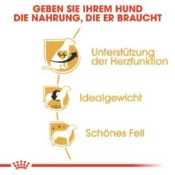 ROYAL CANIN Cavalier King Charles Adult 7,5 Kg -Ruffwear Verkäufe 2024 95fa9fcae4a6cca021f8ac33047c5368cad59e01 1052726 de DE rc 2