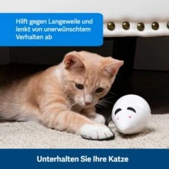 PetSafe Automatisches Katzenspielzeug RoloRat 10 PetSafe Automatisches Katzenspielzeug RoloRat -Ruffwear Verkäufe 2024 97df3eec34472f4ac76f2a0bbe4e75fdbbe02b64 1351522 de DE 83c2d308e962c4b6c64101ee39311b3a61647f71n2yR1C