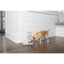 PetSafe Futterautomat Für 2 Mahlzeiten -Ruffwear Verkäufe 2024 98670f242f118bad629edcf021dc784c6a55633d 1343837 2
