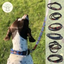 Kipita Polo Hundeleine Noble -Ruffwear Verkäufe 2024 992fac3edc92486a19b1333592b84b50c5287273 1410957 de DE 6d6de6837b022ad01a8c4875ca7db93a18f6bb15k0Amg4