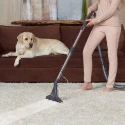 THOMAS DryBox Amfibia Pet -Ruffwear Verkäufe 2024 9953282c61e03abd8b9e8af05edae29417570062 1406734 de DE 1c8fb73e21f9aae62063930fedd2d58afb94e8aanSOWPf