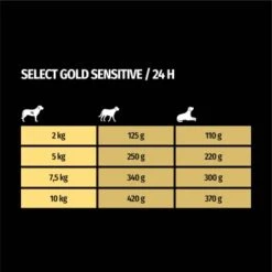 SELECT GOLD Sensitive Senior Huhn & Reis 10x125 G 7 SELECT GOLD Sensitive Senior Huhn & Reis 10x125 G -Ruffwear Verkäufe 2024 9a9b501c74c535f7c6ecd84b05c7d0a1cc9e30a4 1246280 de DE 7