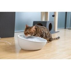 AniOne Keramik-Trinkbrunnen Waterfall Weiß Ohne Ersatzfilter 10 AniOne Keramik-Trinkbrunnen Waterfall Weiß Ohne Ersatzfilter -Ruffwear Verkäufe 2024 9ab78e65ebaf72b76c537cd735c5a7cd6cd4d027 a897eca6393f48ff54c98954a2b189a96196cfbd