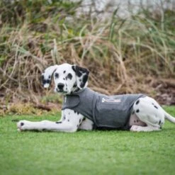 Thundershirt Beruhigungsweste Grau XS -Ruffwear Verkäufe 2024 9b6b99fb9c0e02a64cc609b7ca852c71d17d0d84 1102942 2