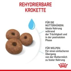 ROYAL CANIN Giant Starter 15kg -Ruffwear Verkäufe 2024 9bdc03bdb1381936f98533e63f927e8c42e86435 3182550778831 6