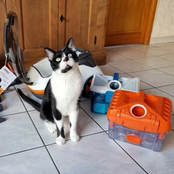 THOMAS Staubsauger 7 THOMAS Staubsauger – Bild 7