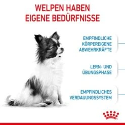 ROYAL CANIN X-Small Puppy 1,5 Kg -Ruffwear Verkäufe 2024 9d4f8dbad884a89da73946d7e25fddf62d5e5564 3182550793636 3