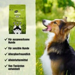Eat Small EatSmall 2x10kg Active Trockenfutter -Ruffwear Verkäufe 2024 9e24696186c4ac0ad1c1b16428f5d7017a5f05eb 1472610 de DE 045556f8e417da90be61f538db133a32cf0ddbabN0gXgq