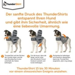 Thundershirt Beruhigungsweste Grau XS -Ruffwear Verkäufe 2024 9ff088bccc5f7d02926fc2c1845a1030d5e07bc3 1102942 5