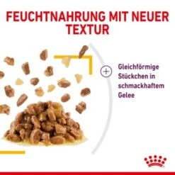 ROYAL CANIN SENSORY Taste In Gelee Für Wählerische Katzen 12x85g -Ruffwear Verkäufe 2024 a0a9a743b6a6722f849df958bc9024e93eba856b e74a0546ac96b90fff45a5cac73c2ea520ddf555