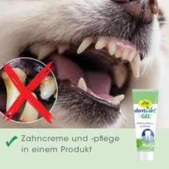 DentaVet Gel 35g 10 DentaVet Gel 35g -Ruffwear Verkäufe 2024 a0d4d3bd9437af6bafea1b3b7a3c5a28814220c7 1249039 de DE 4ce29d2ba67554731965330067a7d46dd701a488pV84j2