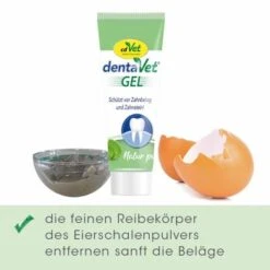 DentaVet Gel 25ml 7 DentaVet Gel 25ml -Ruffwear Verkäufe 2024 a19eab73a92508a73ea5e5f0a6364e8f0f7b1169 1667843 de DE 3d8da4ca500c5da012ca3e2baf0e39e1911d82036UjIsE