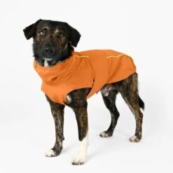 THE DOG IDEA Regenmantel Duke Orange XXXS -Ruffwear Verkäufe 2024 a1af009970fbe0d49b23b55aae3478442e9eb5e6 1473000 de DE e975935bd14ae10e3cbf4709cc9d05a6879844e2TUSiIw