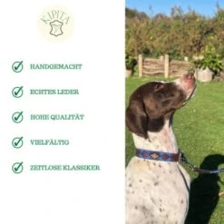 Kipita Polo Hundeleine Noble -Ruffwear Verkäufe 2024 a1f661d57eb416cf465df015cbe6dbe15b002868 1410957 de DE 2a9bc2619d6cce10e84e052332c10a97d164fecfgIBn2h