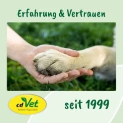 DentaVet Gel 25ml 9 DentaVet Gel 25ml -Ruffwear Verkäufe 2024 a3f0f225424e36ead3f58163a43f1ebde29b0acd 1667843 de DE f215127866d604991b4efc218004018ddf447095y5Ccte