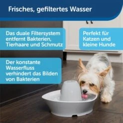 PetSafe Trinkbrunnen Streamside -Ruffwear Verkäufe 2024 a4863bb01c9defc206f3abadb7407b11767619bd 1423698 de DE d7c376710365041814bb26a7ca9d55a6a9011fd8Nm0GoI