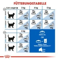 ROYAL CANIN Indoor 7+ 3,5 Kg -Ruffwear Verkäufe 2024 a607bc8cb63704aa662698fe355ecbb77096e7a5 fab27e5960ddaac4499a4a76a805f1d72f96d8ef