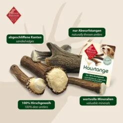 ChronoBalance Geweih Halbiert (XXL) 2er Paket -Ruffwear Verkäufe 2026 a6401578a55c212a3a1a86d9891145933913ef92 1418689 de DE 902a389be4b99eb60431c66affbaefe4377d7689afLNCu