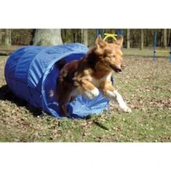 Dobar Agility Tunnel, 60 X 500 Cm -Ruffwear Verkäufe 2024 a70db425a55e65c0dd33cb4658677f3cead28e72 3dc1d9596c73e287c8ea8bc83f8445abe7adc92a