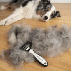 KaraLuna Unterfellbürste -Ruffwear Verkäufe 2024 a7f89992854b7f274ec4aefce65a9a0c3bed6611 1407475 de DE bdacd808ffd25106dc0030189e088a48f660e6387lmoXE