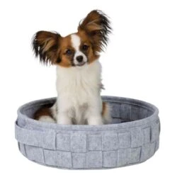 Trixie Korb Lennie -Ruffwear Verkäufe 2024 a868a0ffa8654658575827dc279a4674b484e3ac 1271506 de DE a3c1e147f326af097e802e22ef5bb024df3dff62aJehH2