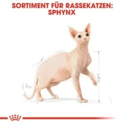 ROYAL CANIN Sphynx Adult 10 Kg -Ruffwear Verkäufe 2024 a8cac64f1ab197f81295c694045c859b936cf469 3d2d3e46b1efb06d8dd5982093aa1fc1a81b6f69