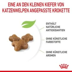 ROYAL CANIN Kitten 4 Kg 19 ROYAL CANIN Kitten 4 Kg -Ruffwear Verkäufe 2026 a8df74b6725246cc1c5fa7ed87e8fdc0a4cfc24f 3182550702973 6