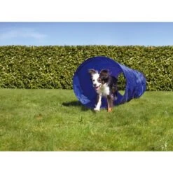 AniOne Agility Set 15 AniOne Agility Set -Ruffwear Verkäufe 2024 a9045f37e3b9a3f15139e57306551989ab21aec1 2dc906b772e837b2770e0f896237c640992fd5d2