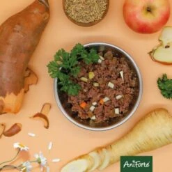 Aniforte RanchHorse Pferd Mit Süßkartoffeln 6 X 400 G 15 Aniforte RanchHorse Pferd Mit Süßkartoffeln 6 X 400 G -Ruffwear Verkäufe 2024 a9b82c78a3196d6ba426728b49e63c107f3b87d2 1422206 de DE 6d1293617badddb525bf66465c13520b0b2538ebE3tZkf