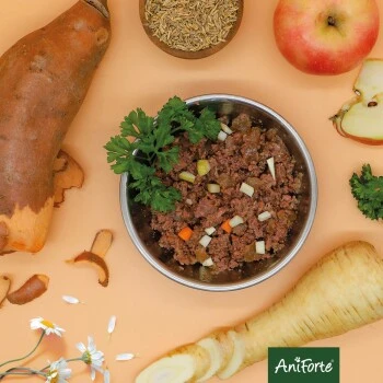 Aniforte RanchHorse Pferd Mit Süßkartoffeln 6 X 400 G 8 Aniforte RanchHorse Pferd Mit Süßkartoffeln 6 X 400 G – Bild 8