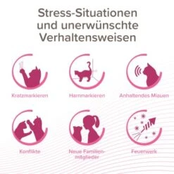 Beaphar CatComfort Excellence Nachfüll-Flakon Für Verdampfer -Ruffwear Verkäufe 2024 aa6740035f99902181a1da29aff4eee13880e36f 1416647 1 2