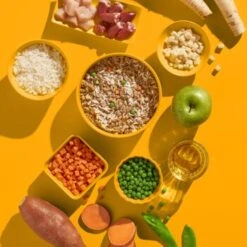 Fred & Felia FRED 10x390g JUNIOR Huhn Mit Reis -Ruffwear Verkäufe 2024 aab9134917d3084d8373a0bd2d93ee07bed7ec97 1422068 de DE e6a828c782f8e596bfacddaff55a6cca79947cfbSCu2nP