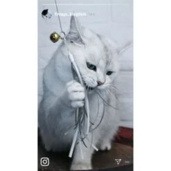 Kater Kasimir Premium Katzenangel Set Aus Buchenholz Mit 4 Handgemachten Anhängern 8 Kater Kasimir Premium Katzenangel Set Aus Buchenholz Mit 4 Handgemachten Anhängern -Ruffwear Verkäufe 2024 aaff0e9889f09f48c0cf35681edb62768ad623ee 1422145 de DE b29a5f7f2530ce6388e16e2600369d70b2ec0350dUIf7E