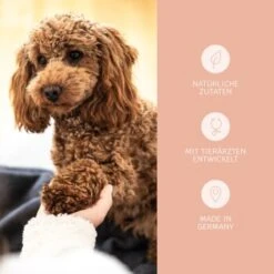 Mammaly Shiny Hair 110g -Ruffwear Verkäufe 2024 ab140d426c9b296de83b5883ff261fc62a7d77c0 1472887 6