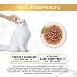 GOURMET Gold Saftig-feine Streifen Sorten-Mix 96x85g -Ruffwear Verkäufe 2024 ac4a60b81fac921dfbe5f473eb8779a9bf238085 1418549 5