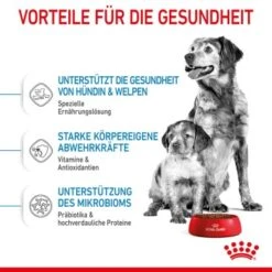 ROYAL CANIN Medium Starter 15 Kg -Ruffwear Verkäufe 2024 acb15bbb7b41e4def079872bea4263585c7c6e23 5870a5fecba74a3a49092a07c120a3ff257b845d