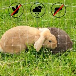 Lionto Katzennetz Inkl. Befestigung -Ruffwear Verkäufe 2024 ad1b651d8bcc461ab7a5d32a4c77b44e521cf768 1665913 de DE 7c500006d9abf3223e26fa8841d70bed2db024adIv4nbt