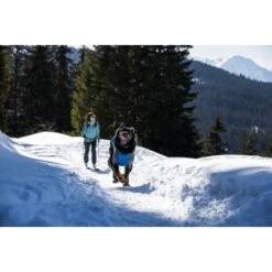 Ruffwear Powder Hound™ Hundejacke Blau M -Ruffwear Verkäufe 2024 ad48c7824c4fa56ab99bf99fe279a07bb74f6278 1639789 de DE 5260aa3c176a0e9de27498c6464d58bee4c79182MEN6wd