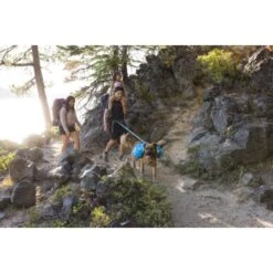 Ruffwear Approach™ Hunderucksack Blau M -Ruffwear Verkäufe 2026 adb6fe53f35c002880a11fdf955223282473e71e 1639823 de DE d58a64010d5b9dcf26c55b9da34cfb41fef50ac2cwioux