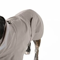 THE DOG IDEA Regenmantel Kayden Greige XXXS -Ruffwear Verkäufe 2024 ae905a2f86df72c3791f274e34fc6299876de72d 1681330 de DE de7a521631f5f7fa11c3504673faa920c8984c76jslEor