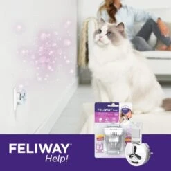 Feliway Help! 7 Tage Start-Set Zur Vorbeugung Von Stress 15 Feliway Help! 7 Tage Start-Set Zur Vorbeugung Von Stress -Ruffwear Verkäufe 2024 af221c57f6ccc9e6f3f372e52503a2d7b9cf22d4 1380136 5
